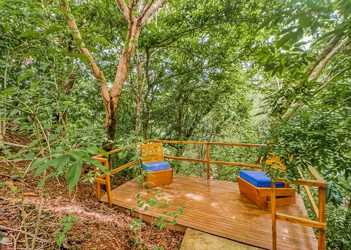 Hébergement de vacances Shared Pool & Outdoor Kitchen: Flamingo Gem